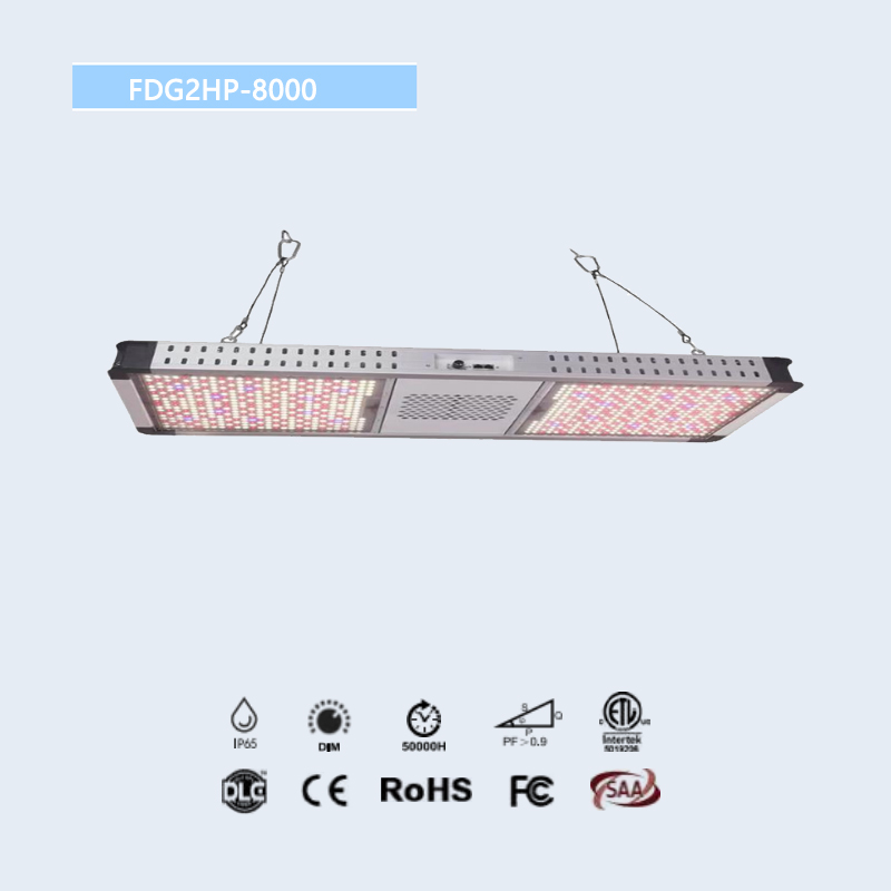 FDG2HP Series